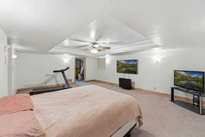 Basement Family Room – Wide LayoutLarge flex area w/ tray ceiling.