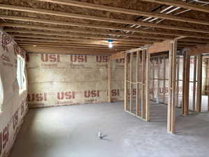 Unfinished basement