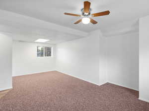 Downstairs living room window to backyard