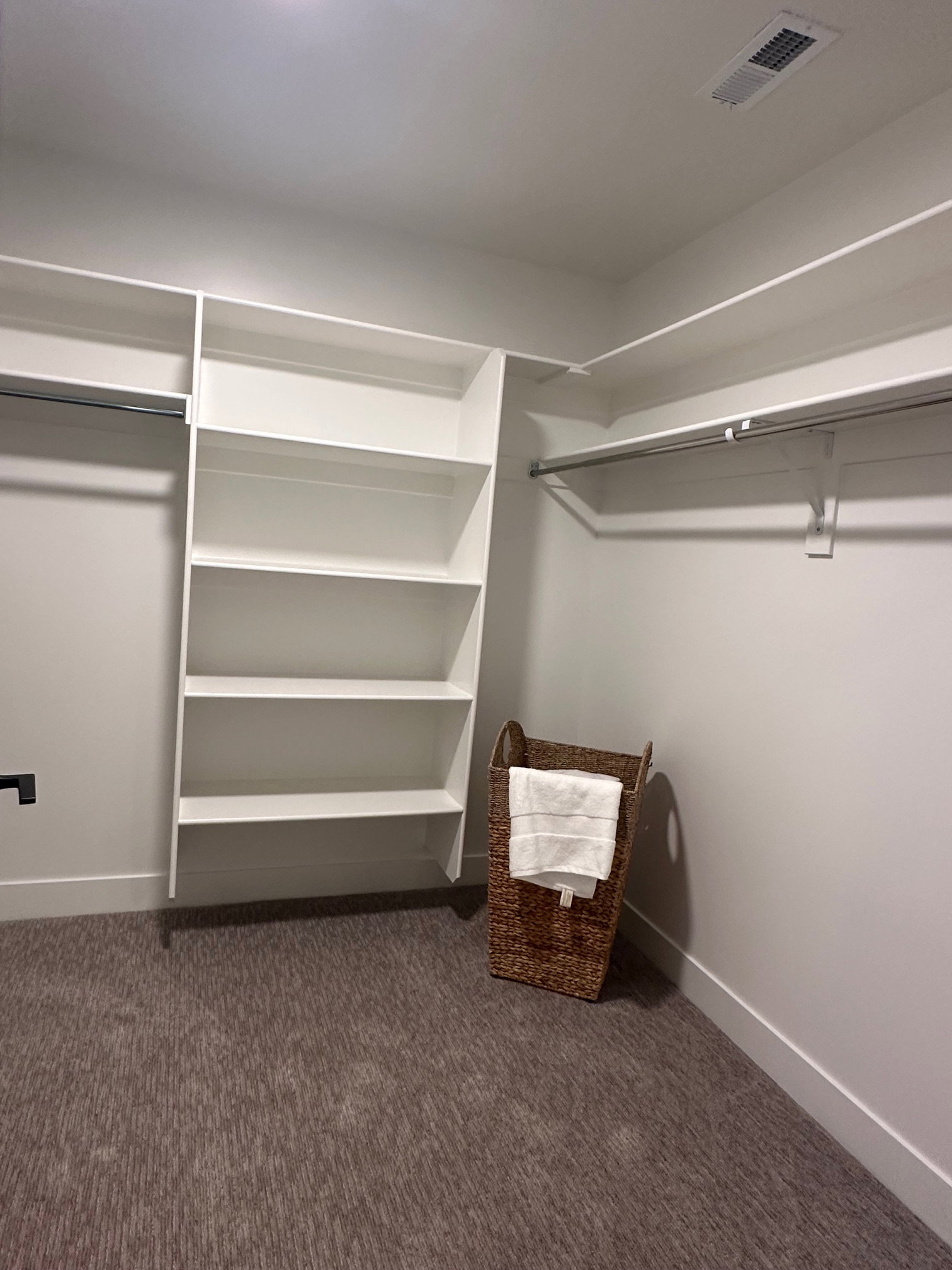 Spacious closet with dark carpet