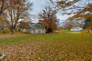 View of green lawn featuring an outbuilding
