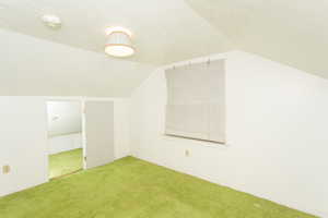 Additional living space with a textured ceiling, lofted ceiling, and carpet