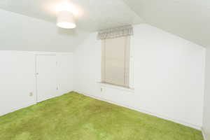 Additional living space with a textured ceiling, vaulted ceiling, and carpet