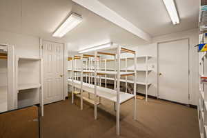 Unfurnished bedroom with dark colored carpet