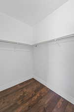 Spacious closet featuring dark wood finished floors