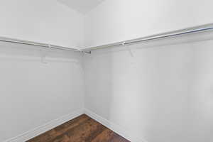 Walk in closet with dark wood-style floors