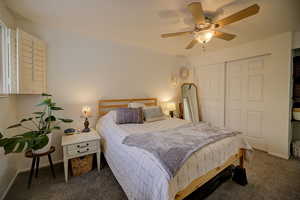 Primary bedroom with a closet view 4