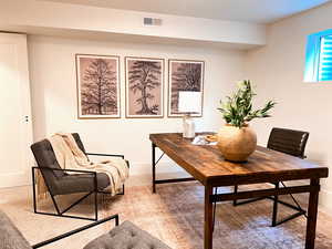 Office / Bedroom in basement