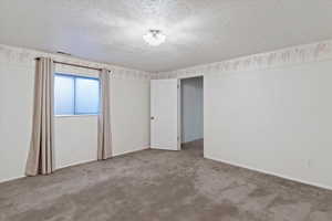 Bedroom in the basement