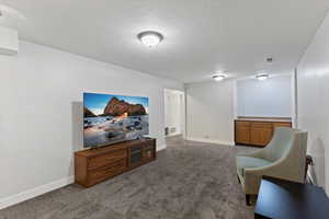 Movie Bar Space in 2nd Living Room