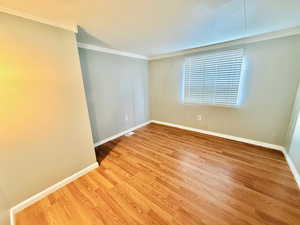 Unfurnished room featuring crown molding and light wood finished floors