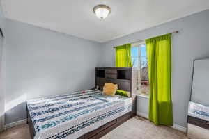 Carpeted bedroom with baseboards