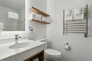 Bathroom with radiator, vanity, and a towel warming rack