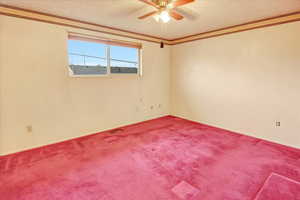 Empty room featuring a textured ceiling, carpet floors, a ceiling fan, and ornamental molding