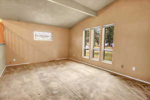 Unfurnished room featuring a textured ceiling, light carpet, and healthy amount of natural light
