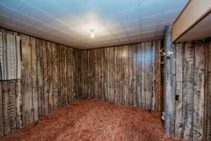 Finished basement featuring wooden walls and carpet flooring