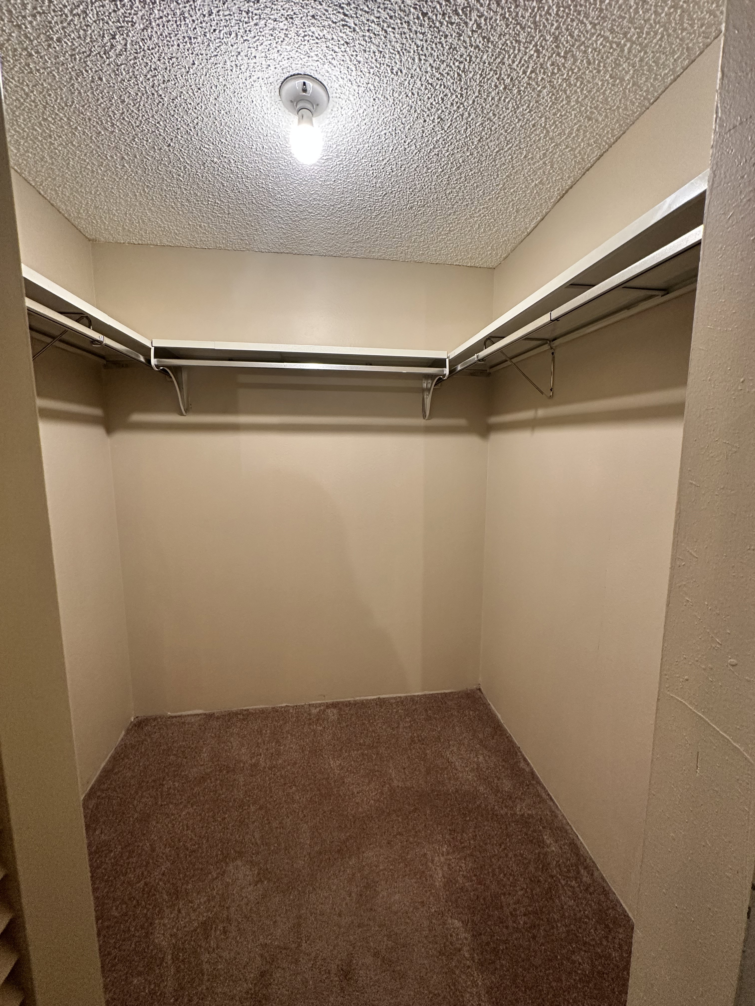 Walk in closet with carpet flooring