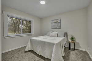 Primary bedroom featuring window looking over the backyard.