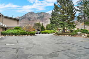 View of mountain background