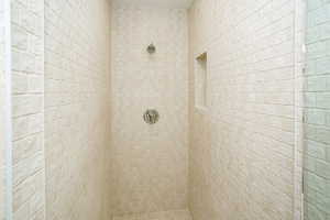 Bathroom view of a tile shower