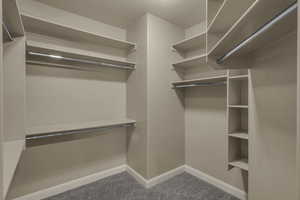 Walk in closet with carpet flooring