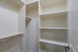 View of walk in closet