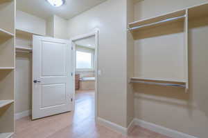Spacious closet featuring light wood-style flooring