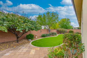 View of fenced backyard