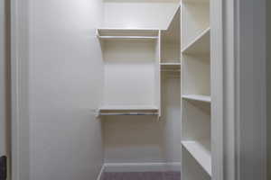 View of spacious closet