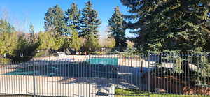 View of pool with a patio and view of wooded area