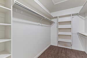 Extra large walk in closet