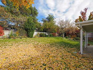 View of yard with a patio