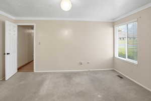 Empty room featuring crown molding and carpet