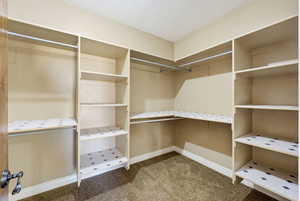 Walk in closet with light colored carpet