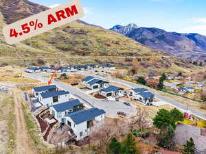 Aerial view of residential area with a mountain backdrop