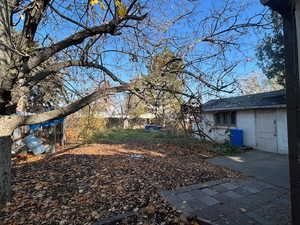 backyard view from house