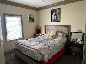 Bedroom featuring dark carpet and crown molding