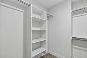 Spacious closet with carpet