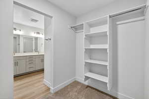 Spacious closet featuring light colored carpet and light wood finished floors