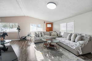Living room featuring lofted ceiling, dark wood-style floors, a textured ceiling, and plenty of natural light