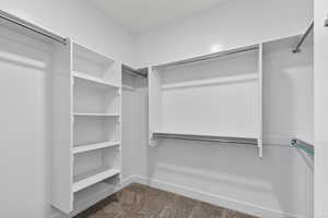 Spacious closet featuring light carpet