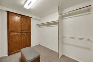 Spacious closet with light carpet