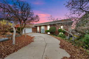 Single story home with concrete driveway and an attached garage