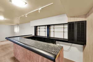 Kitchen with rail lighting, light colored carpet, and dark countertops