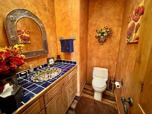 Bathroom featuring vanity and dark wood-style floors