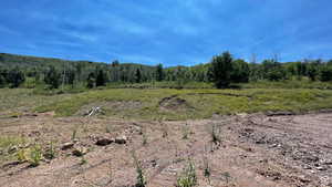 View of tree filled area with a view of countryside