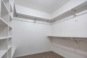 Walk in closet with carpet