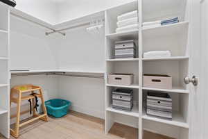 Spacious closet featuring light wood finished floors
