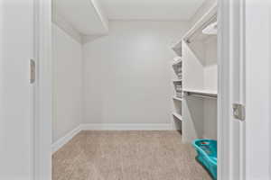 Spacious closet featuring light colored carpet