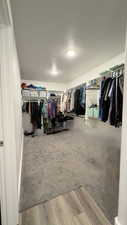 View of walk in closet